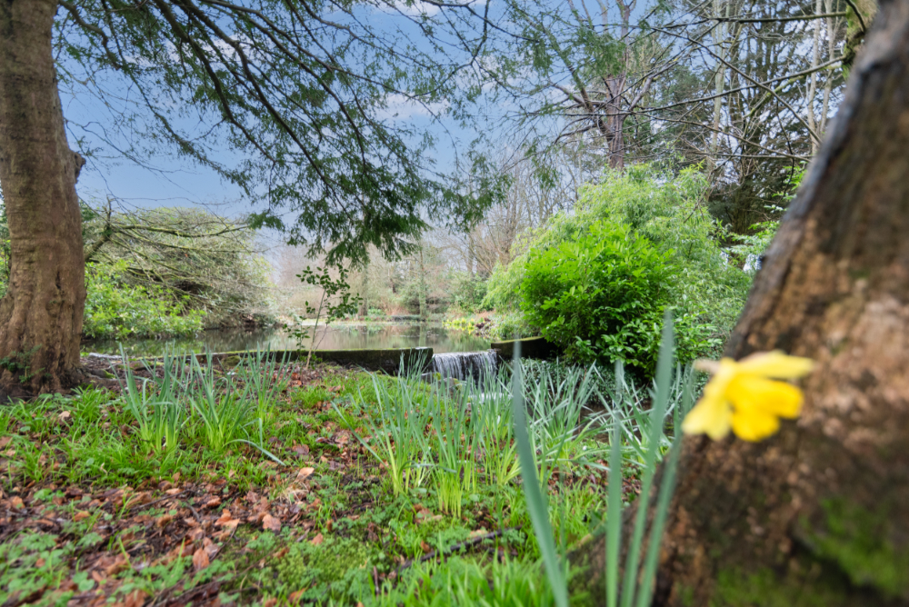 Three Mountains Luxury Retreats