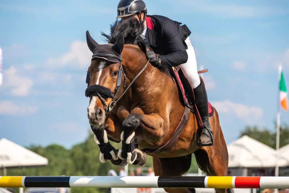Usk Show